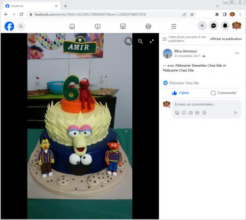 Avis Gâteaux anniversaire 3D Beau Jolie Bon Très Bon Ravie Témoignages Sheselles