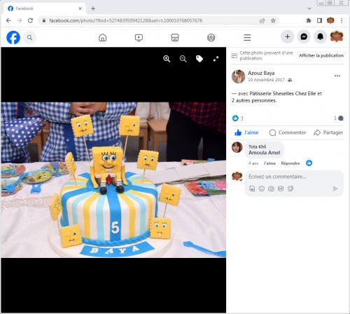 Avis Gâteaux anniversaire 3D Beau Jolie Bon Très Bon Ravie Témoignages Sheselles