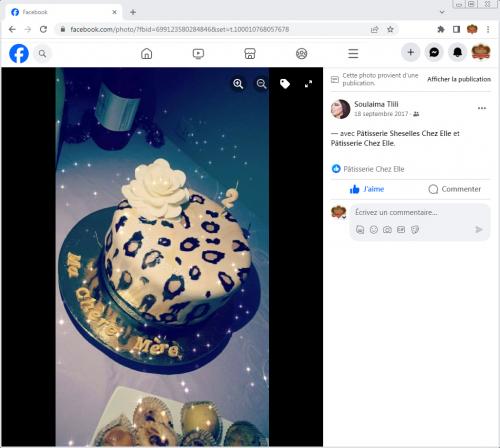 Avis Gâteaux anniversaire 3D Beau Jolie Bon Très Bon Ravie Témoignages Sheselles
