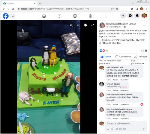 Avis Gâteaux anniversaire 3D Beau Jolie Bon Très Bon Ravie Témoignages Sheselles