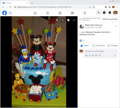Avis Gâteaux anniversaire 3D Beau Jolie Bon Très Bon Ravie Témoignages Sheselles
