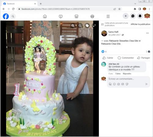 Avis Gâteaux anniversaire 3D Beau Jolie Bon Très Bon Ravie Témoignages Sheselles