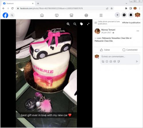 Avis Gâteaux anniversaire 3D Beau Jolie Bon Très Bon Ravie Témoignages Sheselles
