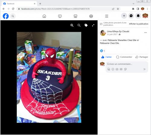 Avis Gâteaux anniversaire 3D Beau Jolie Bon Très Bon Ravie Témoignages Sheselles