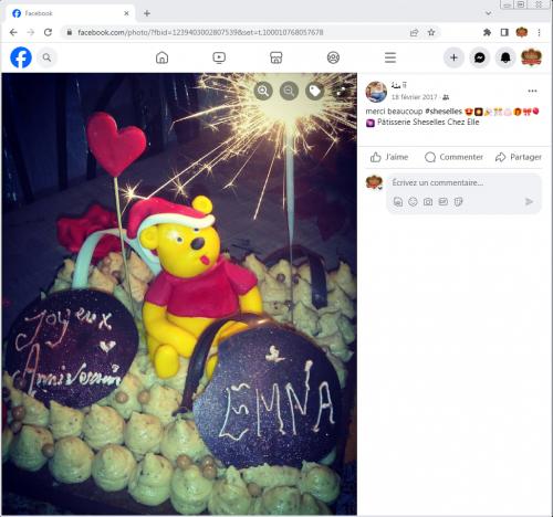 Avis Gâteaux anniversaire 3D Beau Jolie Bon Très Bon Ravie Témoignages Sheselles
