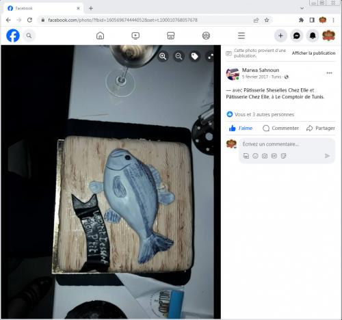 Avis Gâteaux anniversaire 3D Beau Jolie Bon Très Bon Ravie Témoignages Sheselles