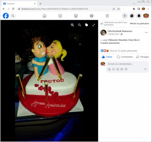 Avis Gâteaux anniversaire 3D Beau Jolie Bon Très Bon Ravie Témoignages Sheselles