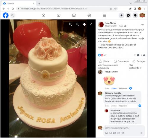 Avis Gâteaux anniversaire 3D Beau Jolie Bon Très Bon Ravie Témoignages Sheselles