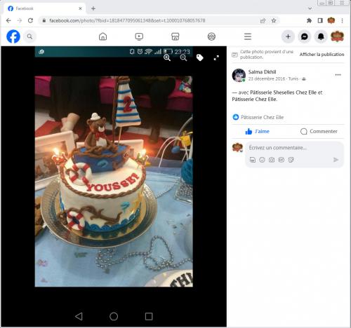 Avis Gâteaux anniversaire 3D Beau Jolie Bon Très Bon Ravie Témoignages Sheselles