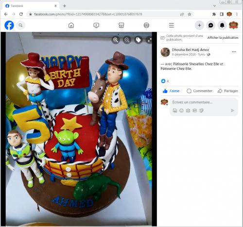 Avis Gâteaux anniversaire 3D Beau Jolie Bon Très Bon Ravie Témoignages Sheselles