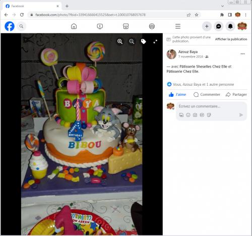 Avis Gâteaux anniversaire 3D Beau Jolie Bon Très Bon Ravie Témoignages Sheselles