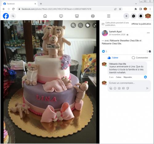 Avis Gâteaux anniversaire 3D Beau Jolie Bon Très Bon Ravie Témoignages Sheselles