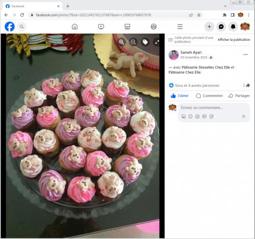 Avis Gâteaux anniversaire 3D Beau Jolie Bon Très Bon Ravie Témoignages Sheselles
