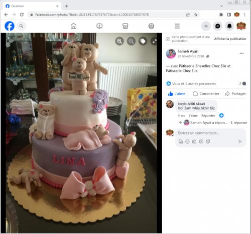 Avis Gâteaux anniversaire 3D Beau Jolie Bon Très Bon Ravie Témoignages Sheselles