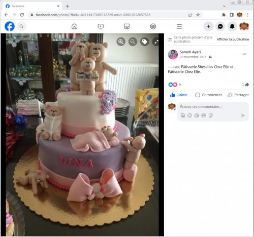 Avis Gâteaux anniversaire 3D Beau Jolie Bon Très Bon Ravie Témoignages Sheselles