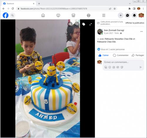Avis Gâteaux anniversaire 3D Beau Jolie Bon Très Bon Ravie Témoignages Sheselles