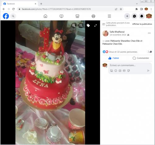 Avis Gâteaux anniversaire 3D Beau Jolie Bon Très Bon Ravie Témoignages Sheselles