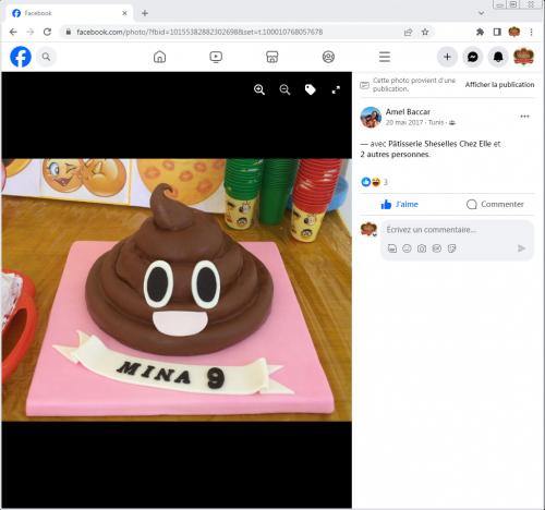 Avis Gâteaux anniversaire 3D Beau Jolie Bon Très Bon Ravie Témoignages Sheselles