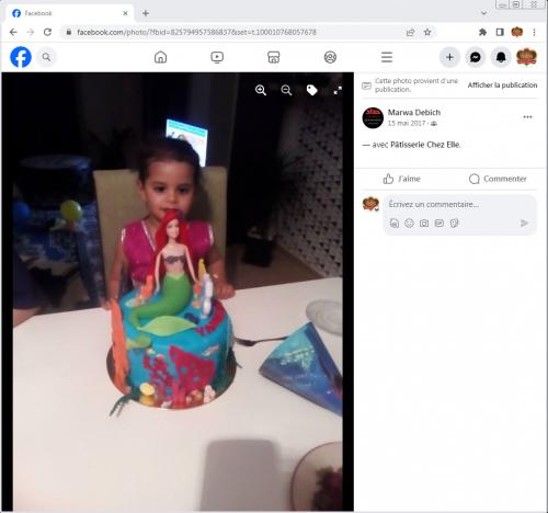 Avis Gâteaux anniversaire 3D Beau Jolie Bon Très Bon Ravie Témoignages Sheselles
