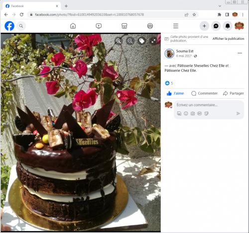 Avis Gâteaux anniversaire 3D Beau Jolie Bon Très Bon Ravie Témoignages Sheselles