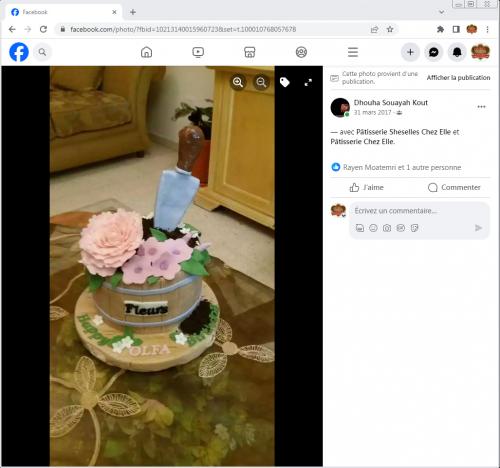 Avis Gâteaux anniversaire 3D Beau Jolie Bon Très Bon Ravie Témoignages Sheselles