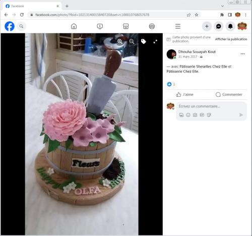 Avis Gâteaux anniversaire 3D Beau Jolie Bon Très Bon Ravie Témoignages Sheselles