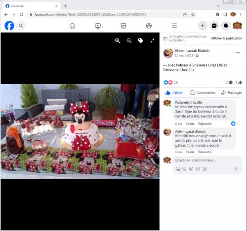 Avis Gâteaux anniversaire 3D Beau Jolie Bon Très Bon Ravie Témoignages Sheselles