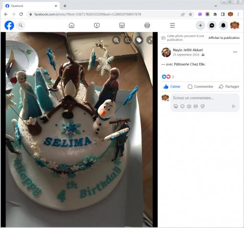Avis Gâteaux anniversaire 3D Beau Jolie Bon Très Bon Ravie Témoignages Sheselles