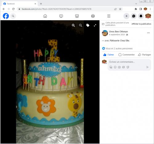 Avis Gâteaux anniversaire 3D Beau Jolie Bon Très Bon Ravie Témoignages Sheselles